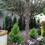 Boutique 酒店 地拉那
